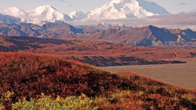 Kadiaľ tiahnu lososy: zo Seattlu do Anchorage Kadiaľ tiahnu lososy: zo Seattlu do Anchorage